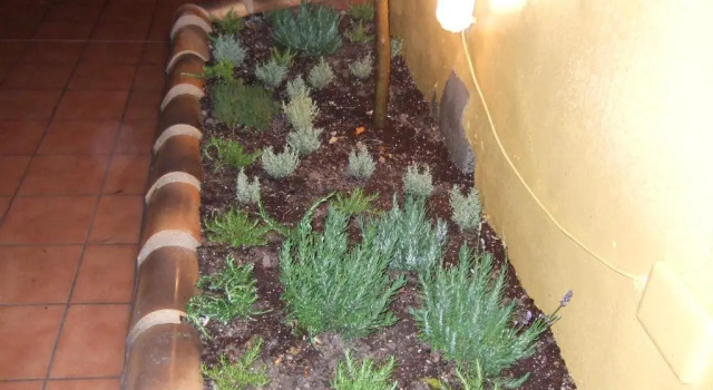 Коттедж Terra Blanca del Benicadell