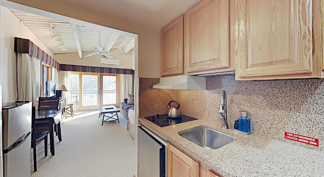Студия Timberline Condominium Studio Deluxe Unit 318