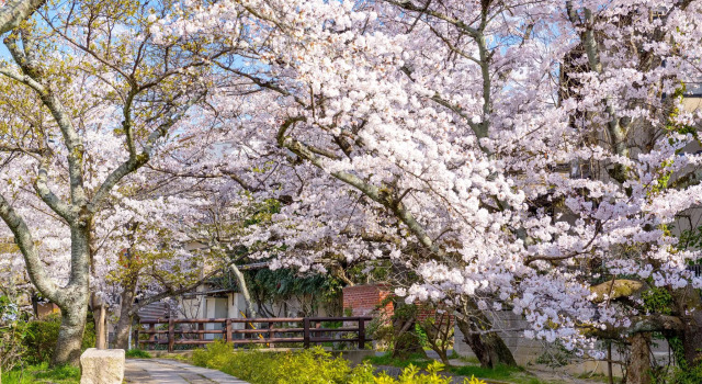 Chizuru Bettei, Book Hotel Ōta Kyoto