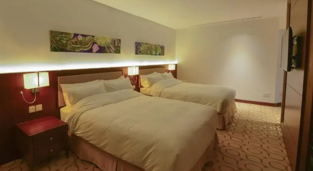 Номер Deluxe Aristo International Hotel