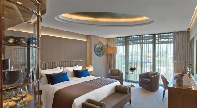Двухместный номер Deluxe с видом на парк The St. Regis Istanbul