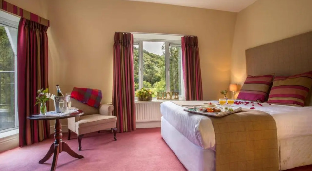 Двухместный номер Standard The Glendalough Hotel