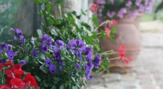 Always Paradise, Book Hotel Hotels in Sicily with Parking, Parking