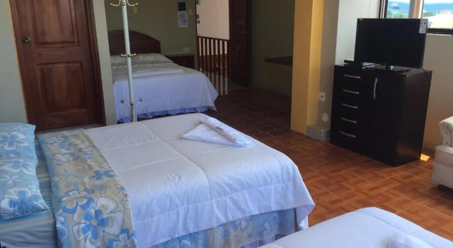Трёхместный номер Standard Hotel Los Algarrobos
