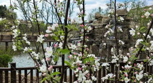 Guoxin Nanshan Hot Spring Holiday Hostel, Reserva ahora Albergue Hostales en Jilin, Albergue