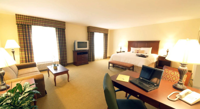 Двухместный люкс Hampton Inn & Suites Dobson