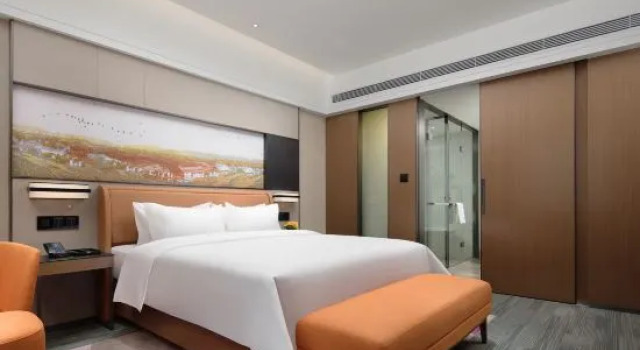 Люкс Business Hampton by Hilton Urumqi International Airport
