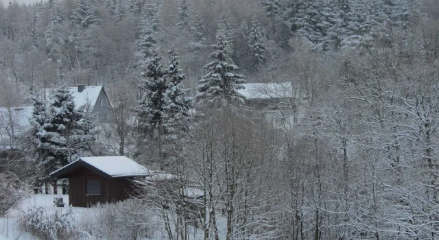Chic Holiday Home in Medebach Germany near Ski Area