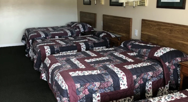 Одноместный семейный номер Standard Troy Motel