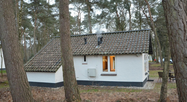 Completely detached bungalow in a nature filled park by a large fen, Prenota Casa vacanze Weert North-Limburg
