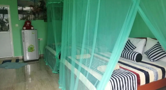 Четырёхместный номер Standard New Blue Home