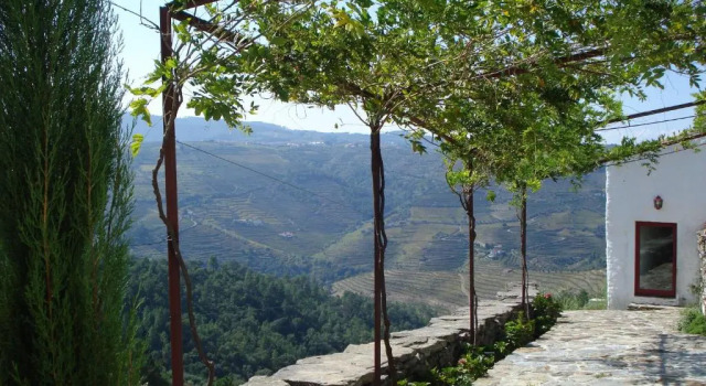 Country house Quinta da Salgueira, Rezerwuj Hotel Favaios Norte Region