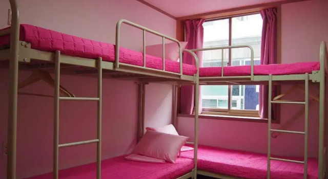 Miss Egg Hostel