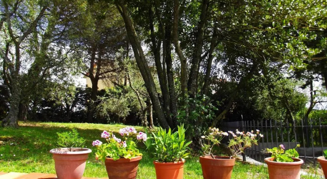 Апартаменты Casa Lilio