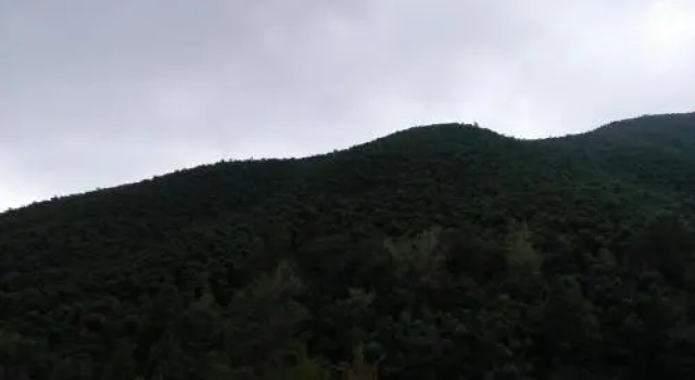Lan Xing Yuan Hostel, Boek Hostel Huzhou Zhejiang