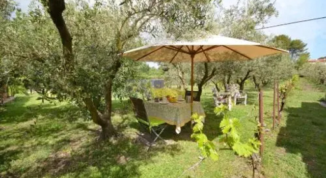 Le Cabanon de l'olivette