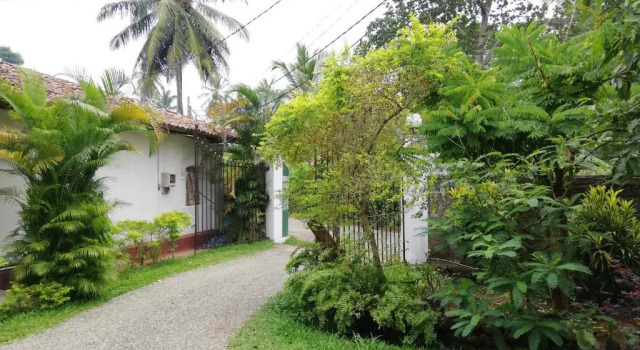 Номер Economy Berg House Unawatuna