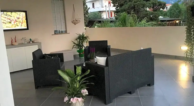 B&B Dionea