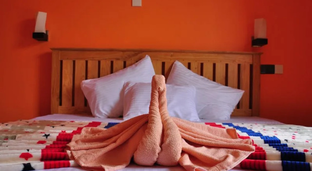 Chamelia Inn Ella