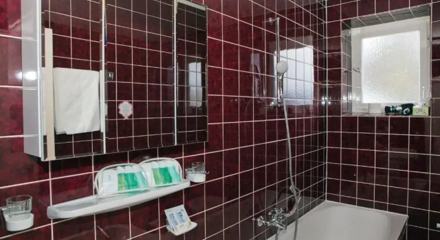 Одноместный номер Standard Hotel Diana