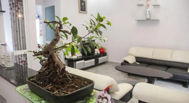 Dalat Jungle View Homestay, Забронировать Отель Отели Далата с парковкой, рядом с Thien Vuong Pagoda, Парковка
