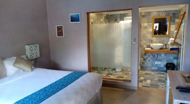 Двухместный номер Economy Coconut Lodge Resort