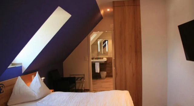 Одноместный номер Superior Hotel Eremitage