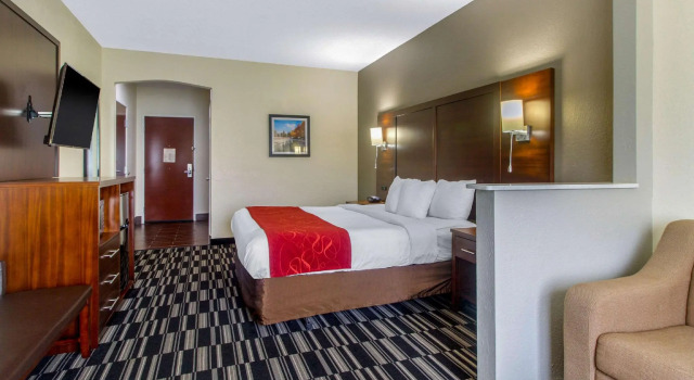 Двухместный люкс Comfort Suites Danville
