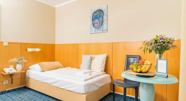 Одноместный номер Standard Art Hotel Vienna