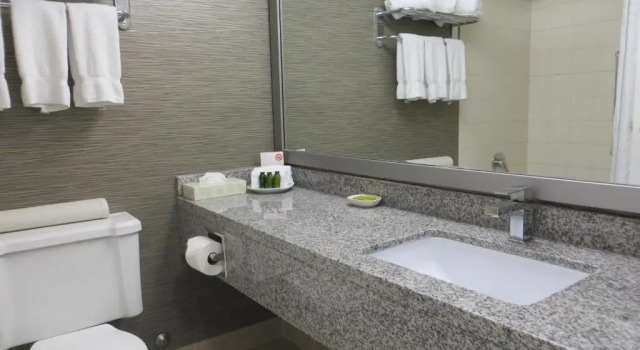 Четырёхместный номер Deluxe с балконом Toronto Don Valley Hotel and Suites