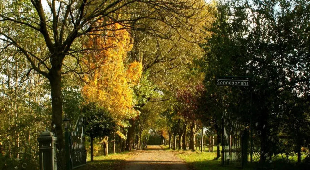 Sonneborghe, Buchen Sie Hotel Twijzelerheide Friesland