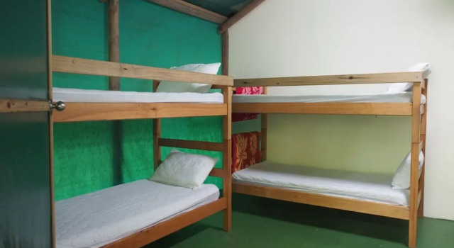 Daintree Crocodylus Village, Rezervovat Hotel Cow Bay 