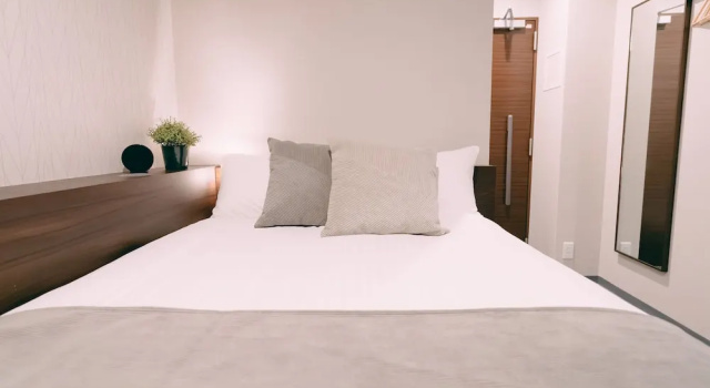 Двухместный номер Standard R Hotel Honmachi
