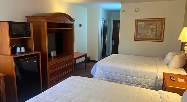 Одноместный номер Standard Orlando Palms