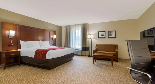 Люкс Comfort Inn & Suites Macon West