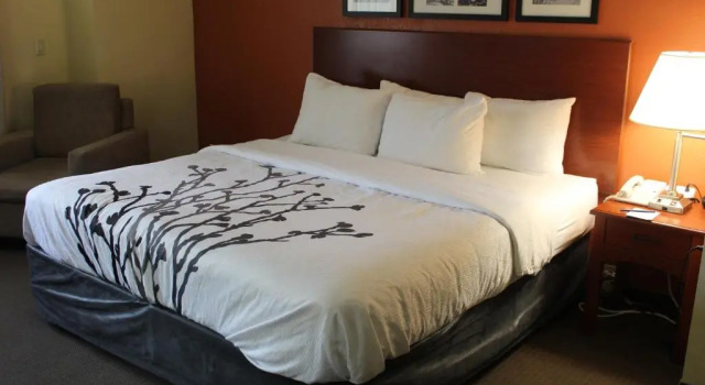 Номер Standard Sleep Inn Mt Pleasant - Charleston