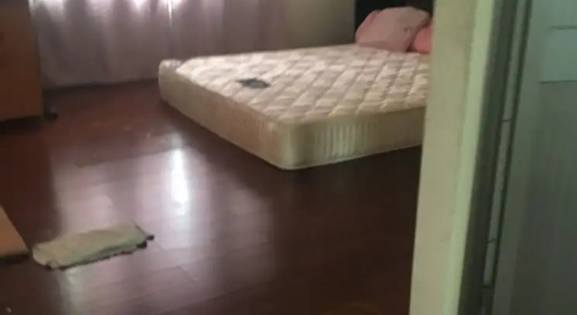 Chu Fu house