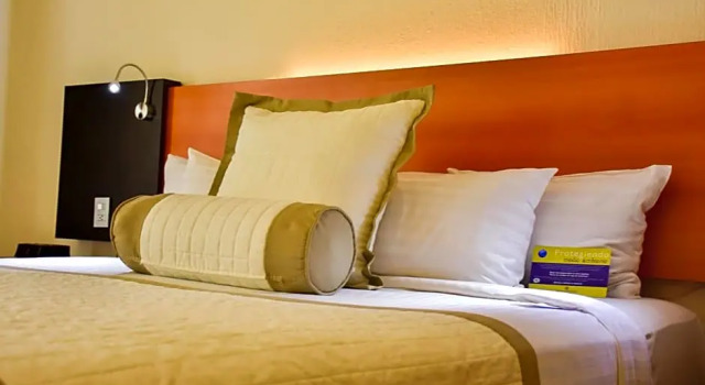 Двухместный номер Deluxe Hotel Guadalajara Plaza Expo