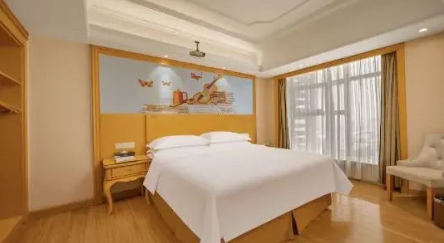 Люкс Vienna International Hotel (Xi'an North Railway Station)