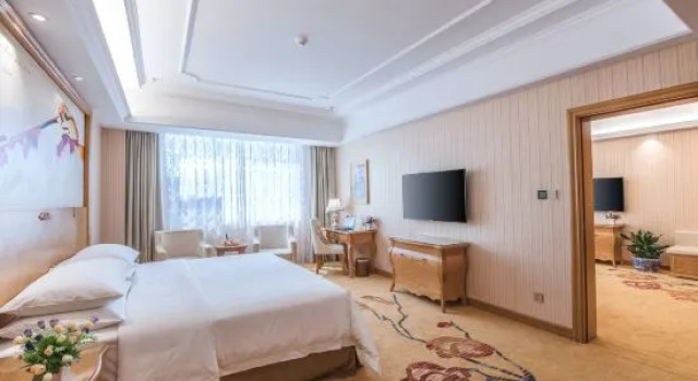 Люкс Deluxe Vienna International Hotel (Yushan Sanqing Square)