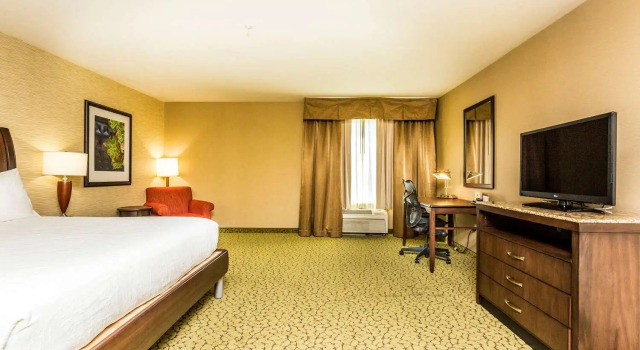 Номер Standard Hilton Garden Inn St. George