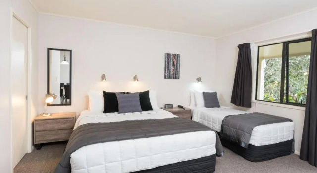 Студия Executive Kauri Park Motel