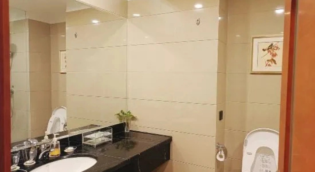 Business cameră Landscape Hotel