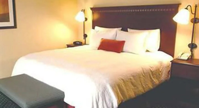 Одноместный люкс Hampton Inn & Suites Port Richey
