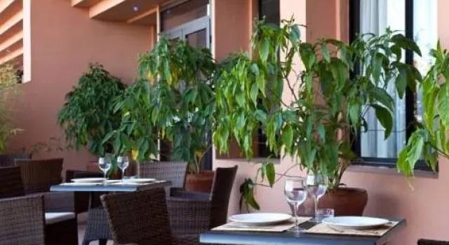 Letto in camerata Red Hotel