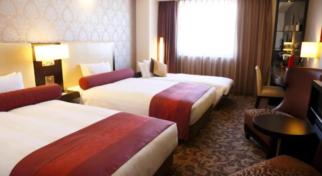 Двухместный номер Superior Mercure Sapporo