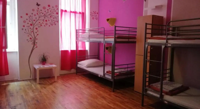 Кровать в общем номере (женский номер) Budapest Party Hostel at Udvarom