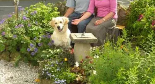 Rose Cottage Bed & Breakfast, Varaa Lomakoti Mökit kohteessa Merseyside, Mökki