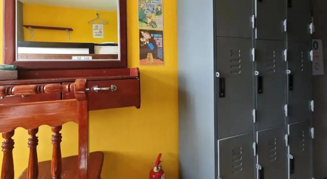 Кровать в общем номере The Funky Monkey Hostel - 18 to 40 years old only
