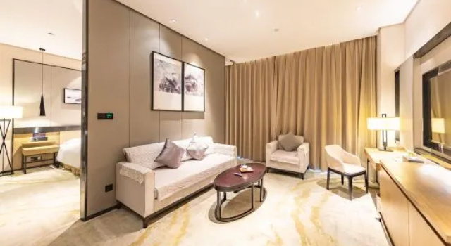 Люкс Business Pu Ju Hotel